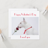 Happy Valentine's Day Bull Terrier with a Rose Kaart (Voorkant / Achterkant in situ)