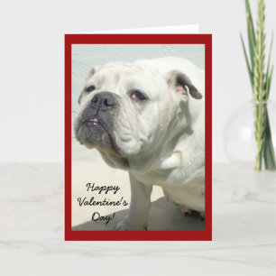 Happy Valentine's Day Bulldog wenskaart Feestdagen Kaart