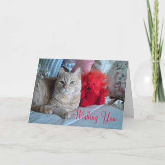 Happy Valentine's Day Card Feestdagen Kaart (Voorkant)