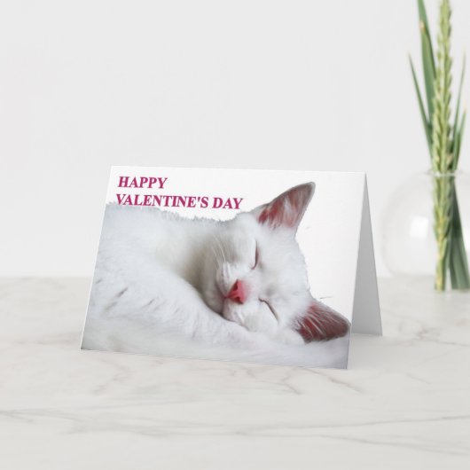 Happy Valentine's Day Card Feestdagen Kaart (Voorkant)