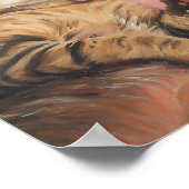 Happy Valentines Day Cat Poster (Hoek)