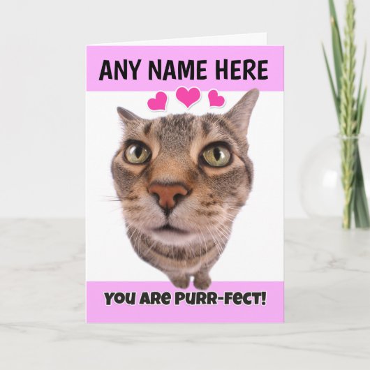 Happy Valentine's Day Custom Naam Schattige Kitty Feestdagen Kaart (Voorkant)