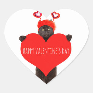 Happy Valentine's Day Cute Cat Holding Heart Humor Hart Sticker