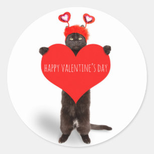 Happy Valentine's Day Cute Cat Holding Heart Humor Ronde Sticker