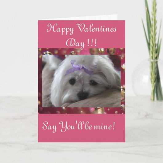 Happy Valentines Day Feestdagen Kaart (Voorkant)