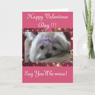 Happy Valentines Day Feestdagen Kaart