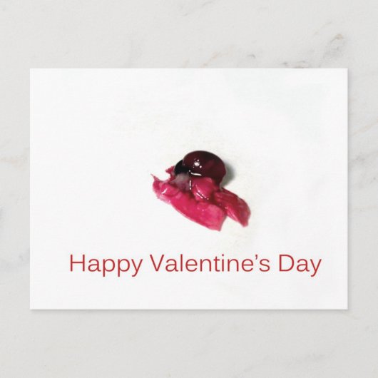 Happy Valentine's Day Feestdagenkaart (Voorkant)