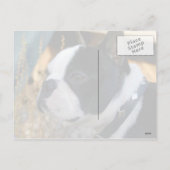 Happy Valentine's Day Feestdagenkaart (Achterkant)