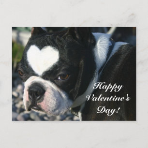 Happy Valentine's Day Feestdagenkaart
