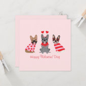 Happy Valentines Day French Bulldogs Kaart (Voorkant / Achterkant in situ)