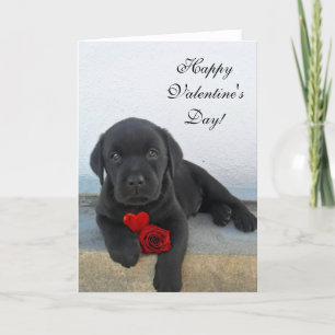 Happy Valentine's Day Labrador-hondenkaart Feestdagen Kaart