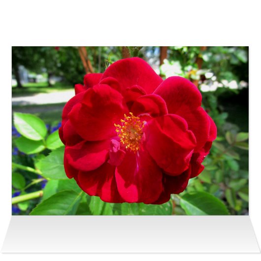 HAPPY VALENTINES DAY MOM-kaart (Binnen Horizontaal (Boven))