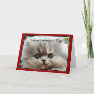 Happy Valentine's Day Persian Kitten wenskaart Feestdagen Kaart