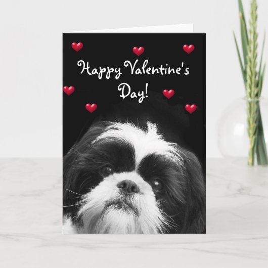 Happy Valentine's Day Shih Tzu greeting card Feestdagen Kaart (Voorkant)