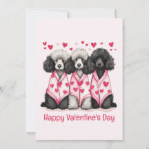Happy Valentines Day Standaard Poedel Honden