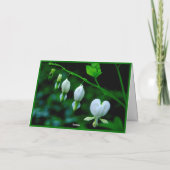 Happy Valentine's Day White Hearts Feestdagen Kaart (Achterkant)