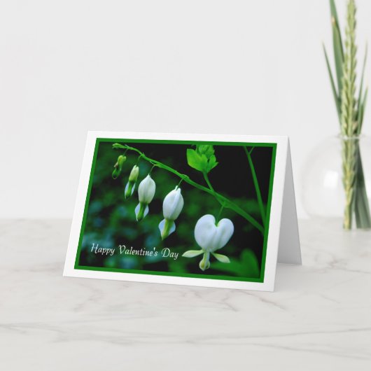 Happy Valentine's Day White Hearts Feestdagen Kaart (Voorkant)