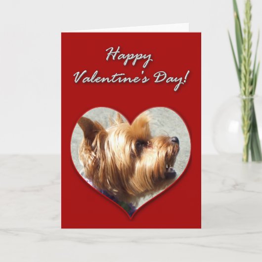 Happy Valentine's Day Yorkshire Terrier Card Feestdagen Kaart (Voorkant)