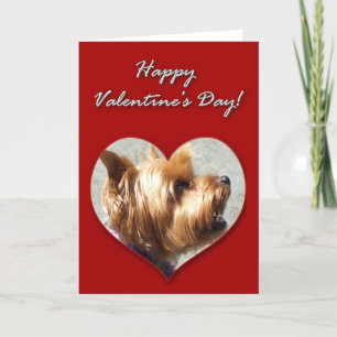 Happy Valentine's Day Yorkshire Terrier Card Feestdagen Kaart