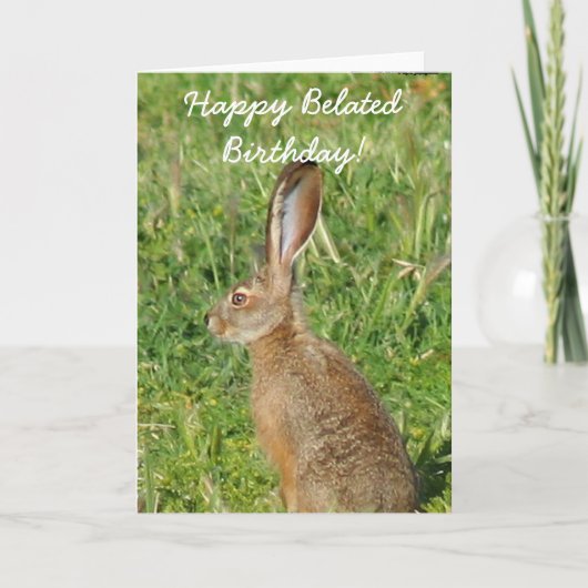 Happy Verlate Verjaardag Jack Rabbit Wenskaart Kaart (Voorkant)