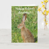 Happy Verlate Verjaardag Jack Rabbit Wenskaart Kaart (Gele Bloem)