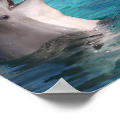 Happy Vibes glimlachend dolfijn of voeg je foto to Poster (Hoek)