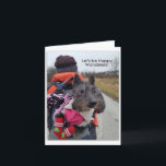 Happy Wanderer Kaart<br><div class="desc">Kleine Sadie houdt van rijden en zingen terwijl ze in haar rugzak rijdt.</div>