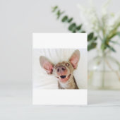 Happy Weimaraner Briefkaart (Staand voorkant)