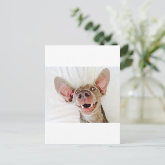 Happy Weimaraner Briefkaart (Staand voorkant)