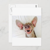 Happy Weimaraner Briefkaart (Voorkant / Achterkant)