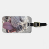 Happy White Bulldog Bagagelabel (Voorkant horizontaal)
