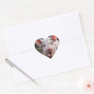Happy White Pig Tongue Poke, Hart Sticker