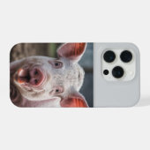 Happy White Pig Tongue Poke, iPhone Hoesje (Achterkant horizontaal)