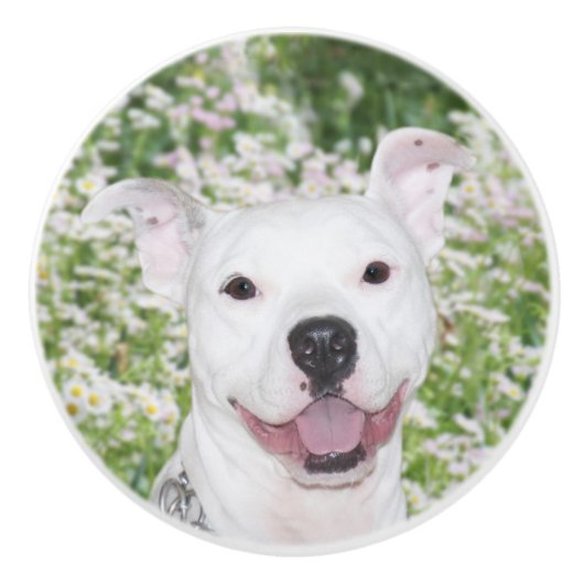 Happy white pitbull doodsbang keramische knop (Voorkant)