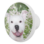 Happy white pitbull doodsbang keramische knop (Rechts)