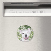 Happy white pitbull magneet (Insitu (Vaatwasser))