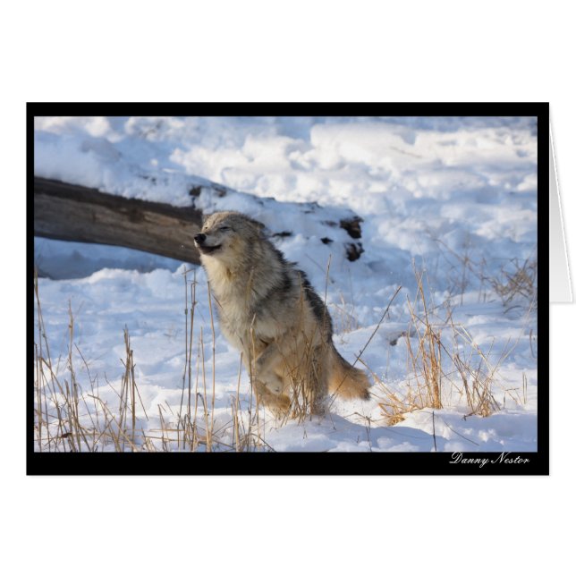 Happy Wolf (Voorkant Horizontaal)