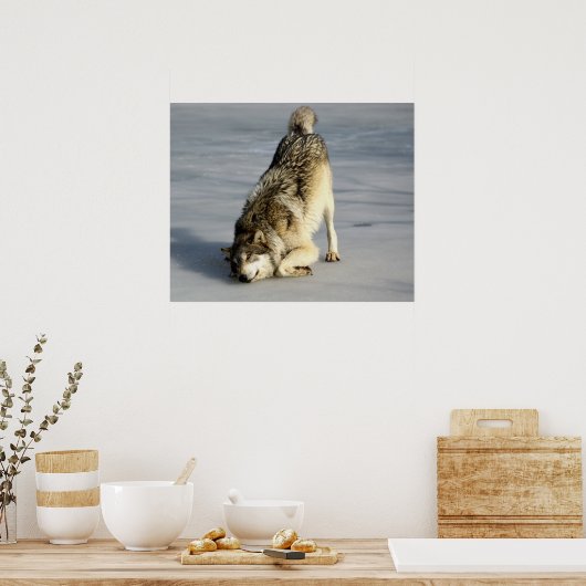 Happy Wolf op bevroren hond Poster (Keuken)