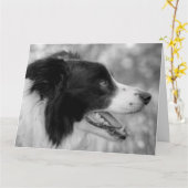Happy Wood Day Border Collie Dog Verjaardag Kaart (Gele Bloem)