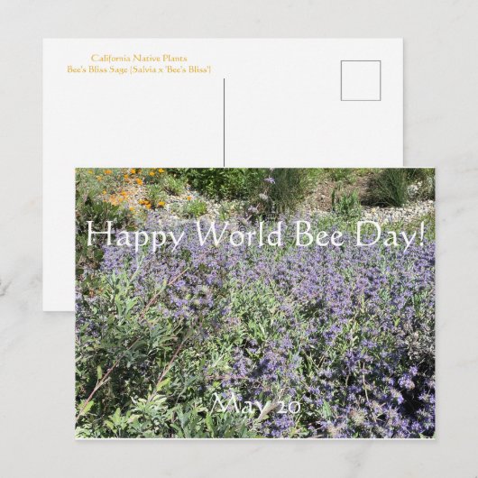 Happy World Bee Day!Briefkaart Briefkaart (Voorkant / Achterkant)