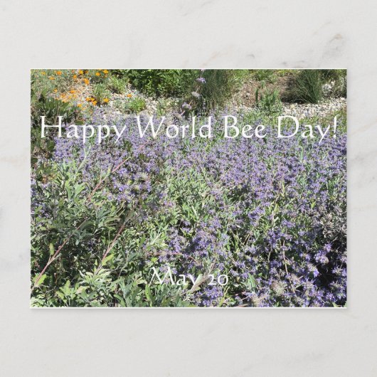 Happy World Bee Day!Briefkaart Briefkaart (Voorkant)