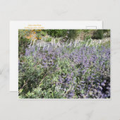 Happy World Bee Day!Briefkaart Briefkaart (Voorkant / Achterkant)