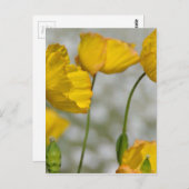 Happy yellow briefkaart (Voorkant / Achterkant)