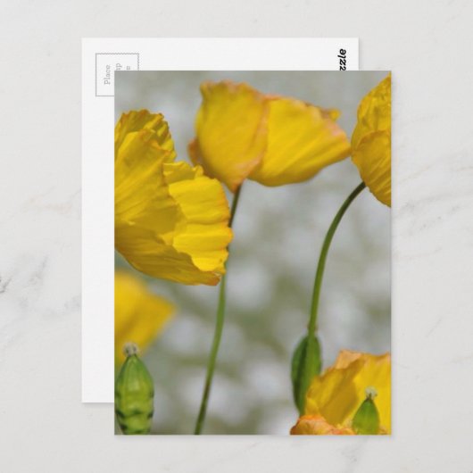 Happy yellow briefkaart (Voorkant / Achterkant)