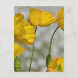 Happy yellow briefkaart