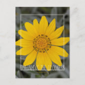 Happy Yellow Flower - Ik wens u Joy Briefkaart (Voorkant)