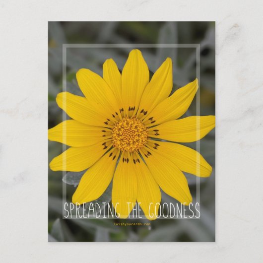 Happy Yellow Flower - Ik wens u Joy Briefkaart (Voorkant)