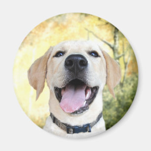 Happy Yellow Lab Magneet