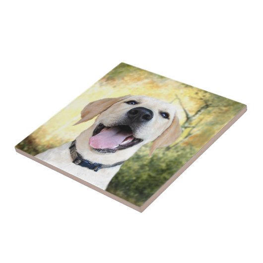 Happy Yellow Lab Tegeltje (Zijkant)