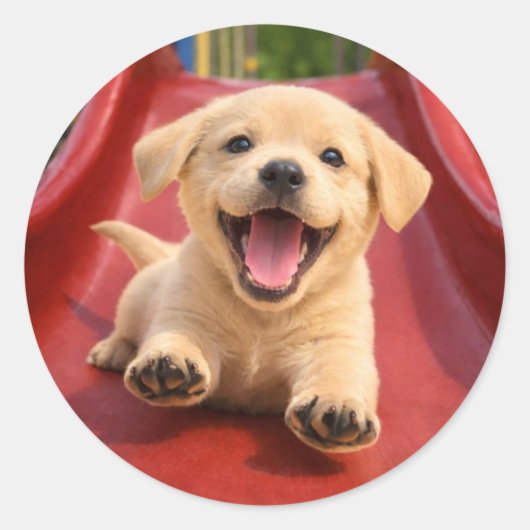Happy Yellow Labrador Puppy Sliding a slide Ronde Sticker (Voorkant)